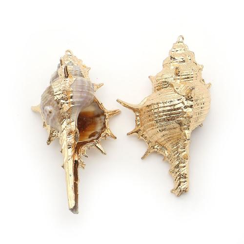 Brass Shell Pendants, with Brass, Conch, plated, DIY - 