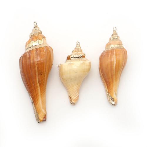 Brass Shell Pendants, with Brass, Conch, plated, DIY - 