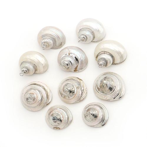 Brass Shell Pendants, with Brass, Conch, plated, DIY 