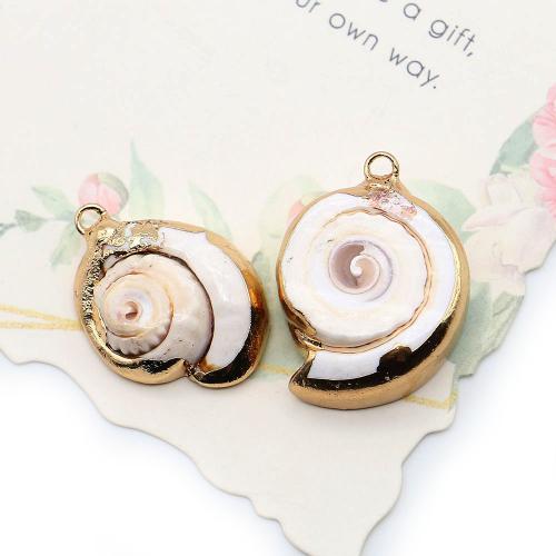 Brass Shell Pendants, with Brass, Conch, plated, DIY - 
