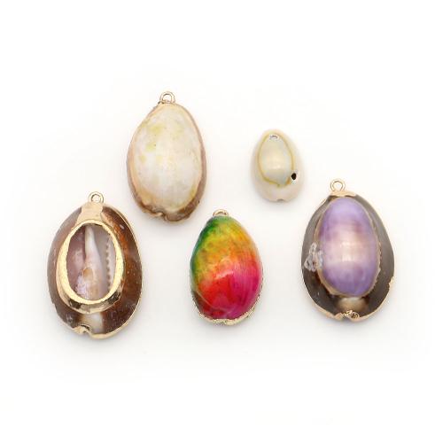 Brass Shell Pendants, with Brass, Conch, plated, DIY 