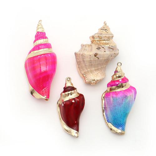 Brass Shell Pendants, with Brass, Conch, plated, DIY 