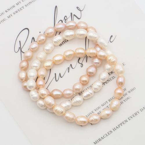 Cultured Freshwater Pearl Bracelets, Rice, fashion jewelry, mixed colors, 8-9mm cm 