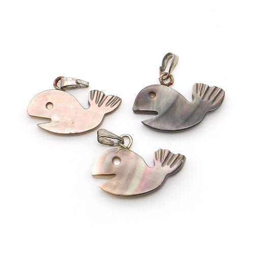 Black+Lip+Shell Anhänger, mit Wachsschnur & Eisen, Walfisch, DIY, gemischte Farben, 15x21mm, verkauft von PC