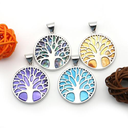 Brass Shell Pendants, with Shell, DIY 