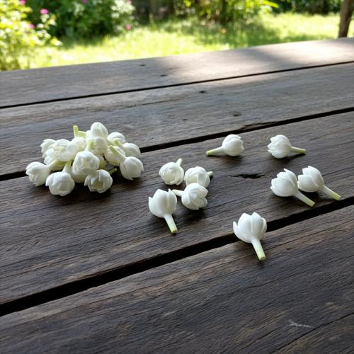 Acryl Band Halskette, Polymer Ton, Blume, DIY, gemischte Farben, 15x25mm, Länge:38 cm, 16PCs/Strang, verkauft von Strang[