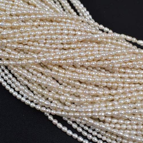 Reis Süßwasser Zuchtperlen, Natürliche kultivierte Süßwasserperlen, Unregelmäßige, DIY, weiß, 3-4mm, Länge:39 cm, verkauft von Strang