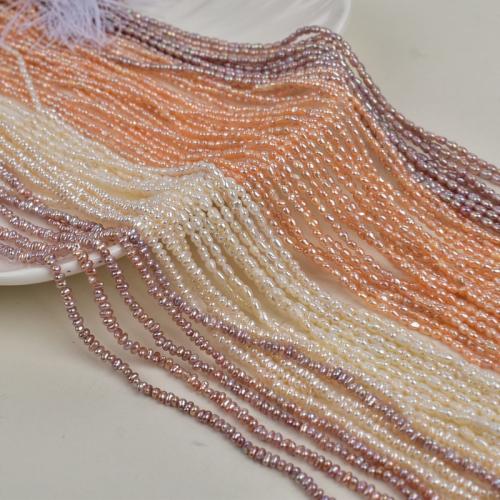 Reis Süßwasser Zuchtperlen, Natürliche kultivierte Süßwasserperlen, DIY, keine, 2-3mm, Länge:36 cm, verkauft von Strang