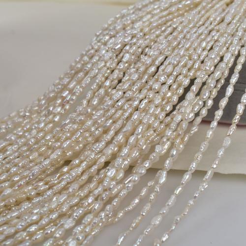 Reis Süßwasser Zuchtperlen, Natürliche kultivierte Süßwasserperlen, DIY, weiß, 3-4mm, Länge:38 cm, verkauft von Strang