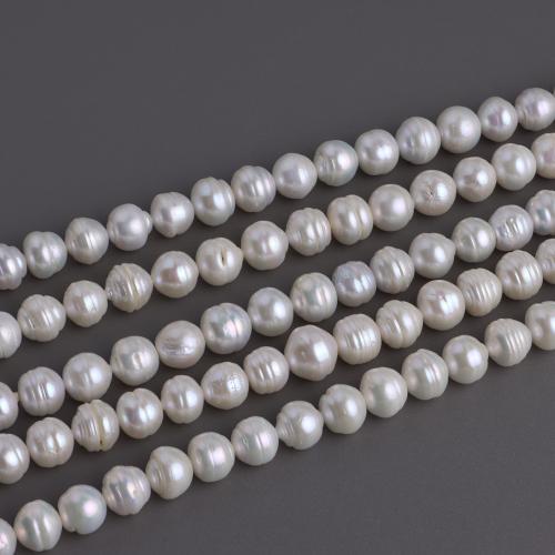 Naturales agua dulce perlas sueltas, Perlas cultivadas de agua dulce, Hélice, Bricolaje, Blanco, 10-11mm, longitud:41 cm, Vendido por Sarta