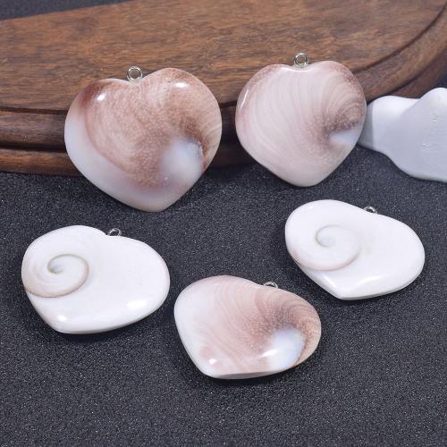 Природный Морская раковина подвеска, Ракушка, с Нержавеющая сталь 304, DIY, разноцветный, продается PC