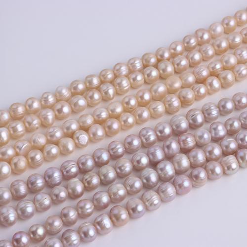 Пресноводные свободные жемчуг, Пресноводные жемчуги, Слегка круглый, DIY, Много цветов для выбора, 10-11mm, длина:36 см, продается Strand