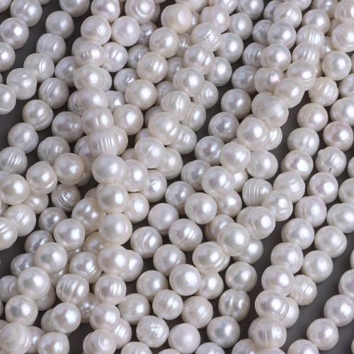 Пресноводные свободные жемчуг, Пресноводные жемчуги, Слегка круглый, DIY, белый, 10-11mm, длина:41 см, продается Strand