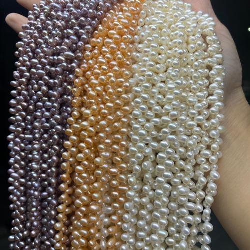 Rice Cultured Freshwater Pearl Beads, DIY & top drilled beads size 4-5mm Approx 38 cm 