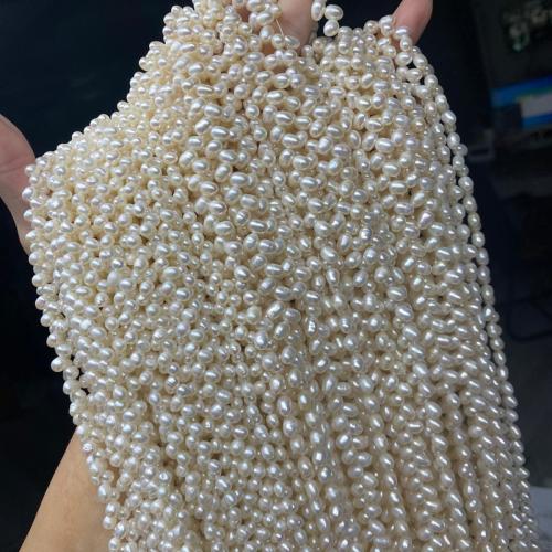 Natural Freshwater Pearl Loose Beads, Rice, DIY white Approx 37-38 cm 