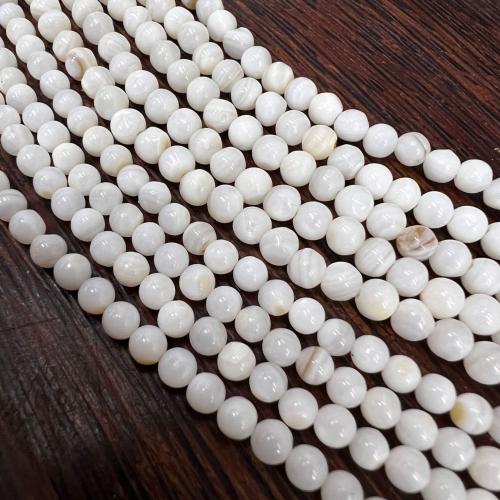 Natürliche Muschelperlen, Süßwassermuschel, rund, verkauft von Strang