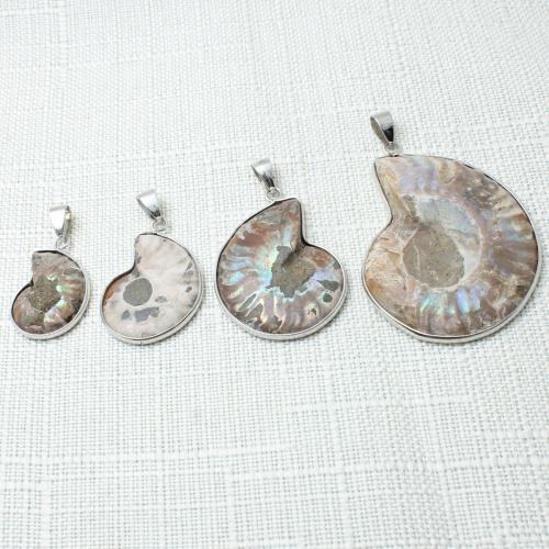 Chrysanthemum Pendants, Chrysanthemum Stone, with Zinc Alloy, Conch, DIY 