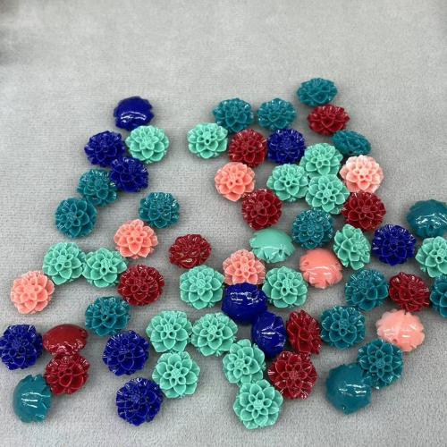 Dyed Shell Beads, Shell Powder, DIY mixed colors 