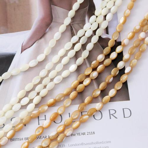 Trochus Beads, DIY Approx 38 cm 