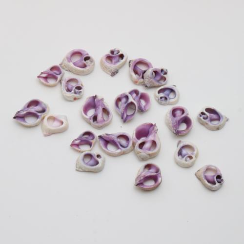Natürlichen Muschel -Anhänger, Strandschnecke, zufällig gesendet & DIY, violett, pendant size 14-21mm, verkauft von PC