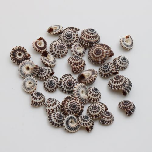 Trompete Shell Messing Anhänger, Trompete Muschel, Strandschnecke, DIY, schwarz, pendant size 9-18mm, verkauft von PC