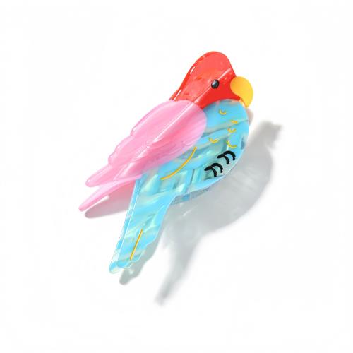 アセテートシート バンスクリップ, 鳥, かわいい & 女性用, 彩色 売り手 パソコン[