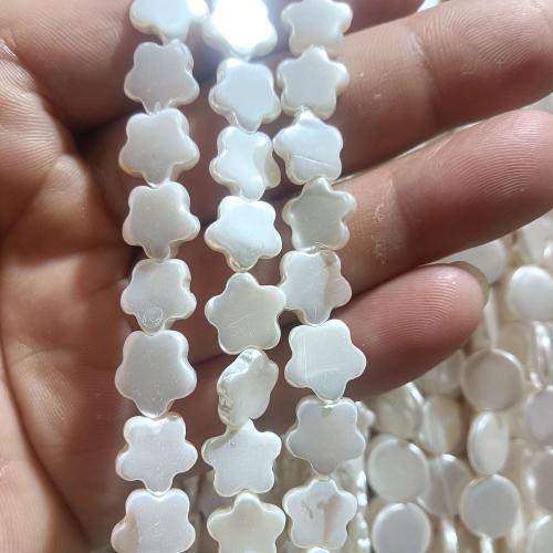 Natural Freshwater Shell Beads, Plum Blossom, polished, DIY, white, 10mm, Approx 