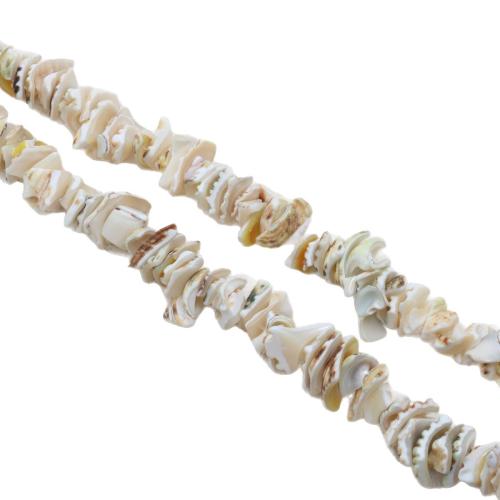 Natürliche Muschelperlen, Muschel, Unregelmäßige, DIY, 6mm, Länge:ca. 40 cm, verkauft von Strang