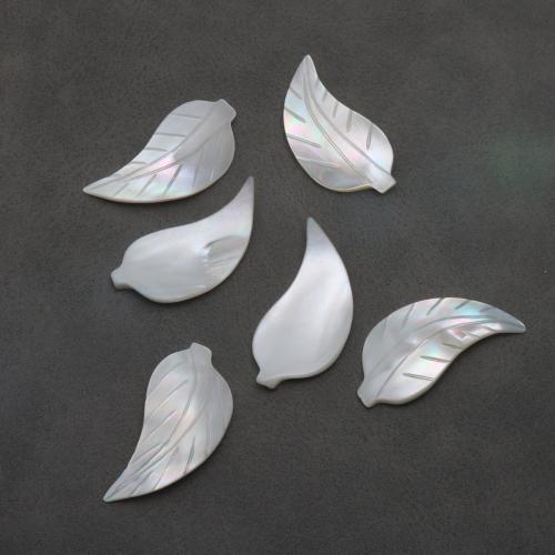 Бусины из натуральных белых ракушек, Белая ракушка, Листок, DIY & нет отверстия продается PC