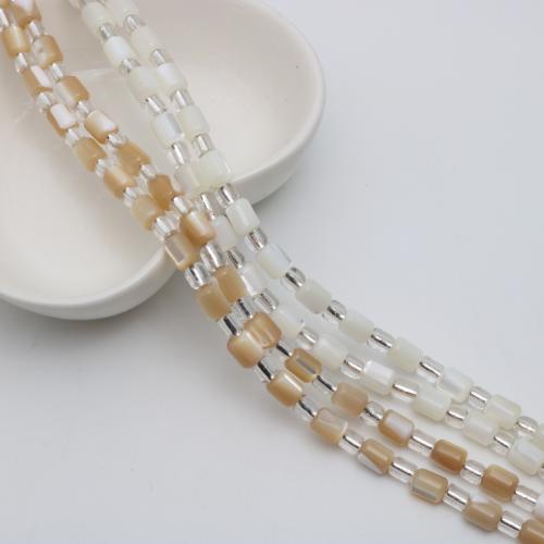 Трохусы бусы, корпус блока, DIY, Случайный цвет длина:Приблизительно 38 см, продается Strand