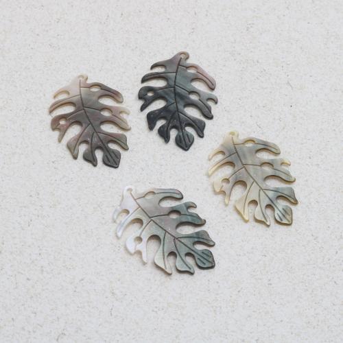 Подвески их натуральных ракушек, Ракушка, Листок, резной, DIY продается PC