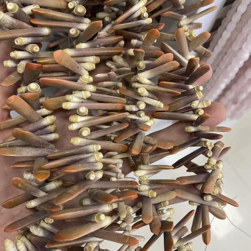 Perla De Concha De Trompeta, Nácar Trompeta, Bricolaje, más colores para la opción, 6x25mm, longitud:aproximado 38 cm, Vendido por Sarta