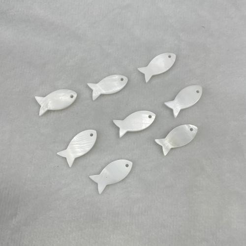 Natural Freshwater Shell Pendants, polished, DIY 