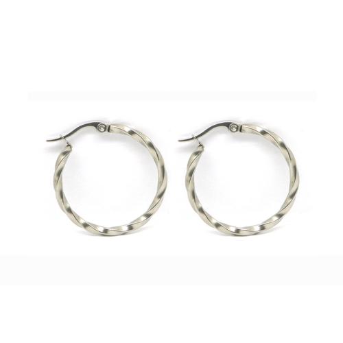 304 Stainless Steel Lever Back Earring, plated & for woman 
