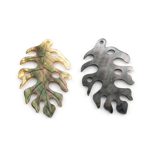 Natural Freshwater Shell Pendants, Leaf, Carved, DIY [