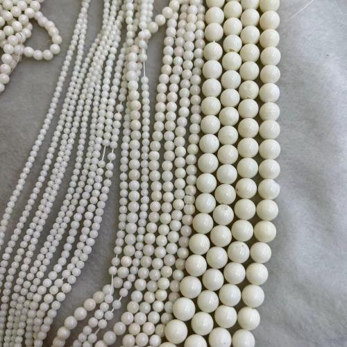 Sea Bamboo Coral Beads, Dyed Bamboo Coral, Round, DIY white Approx 38 cm 