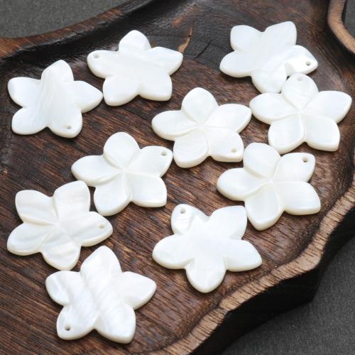 Natural Freshwater Shell Pendants, Carved, DIY 