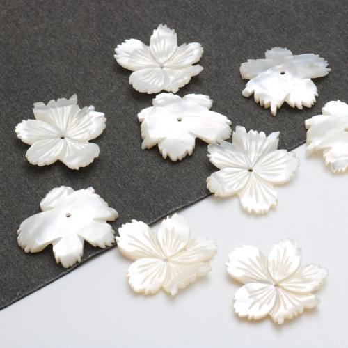 Natural Freshwater Shell Pendants, Carved, DIY 