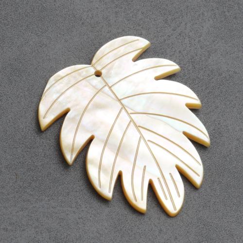Natural Freshwater Shell Pendants, Carved, DIY 