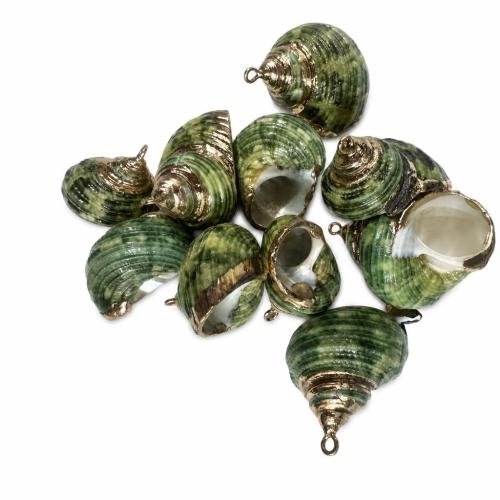 Zinc Alloy Shell Pendants, with Zinc Alloy, Conch, DIY, pendant size 22-32*20-26mm 