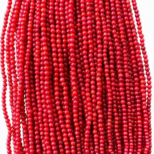 Sea Bamboo Coral Beads, Dyed Bamboo Coral, Round, DIY Approx 38 cm 