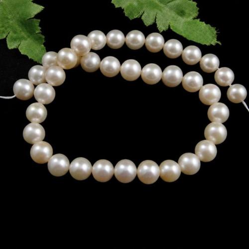 Perles de nacre rondes de culture d'eau douce, perle d'eau douce cultivée, naturel, plus de couleurs à choisir, grade AAA, 7-8mm Environ 0.8mm Vendu par brin