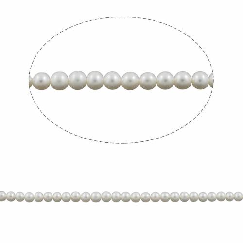 Perles de nacre rondes de culture d'eau douce, perle d'eau douce cultivée, naturel, plus de couleurs à choisir, 5mm Environ 0.8mm Environ 15.3 pouce, Vendu par brin