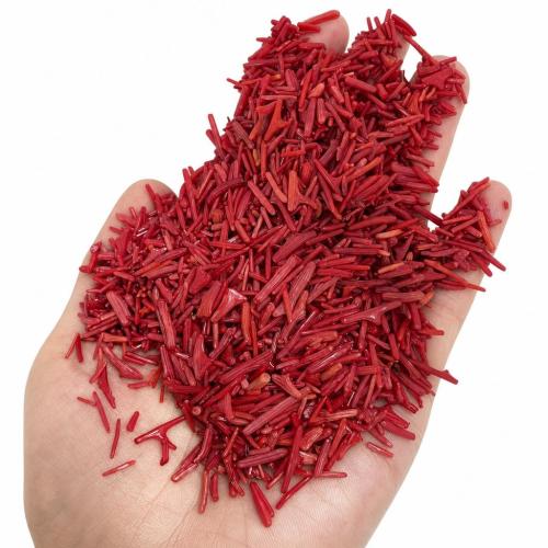 Sea Bamboo Coral Beads, Dyed Bamboo Coral, Nuggets, random style & DIY & no hole, 15mm 