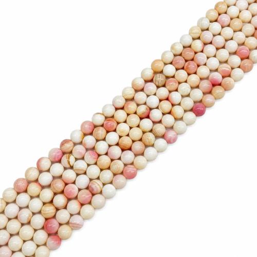 Queen Conch Shell Beads, Round, polished, DIY Approx 38 cm 