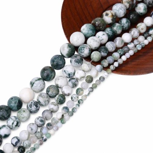 Natural Tree Agate Beads, Round, DIY Approx 38 cm 