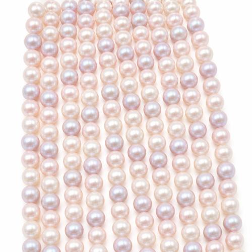 South Sea Shell Beads, Shell Pearl, Round, DIY Approx 38 cm 