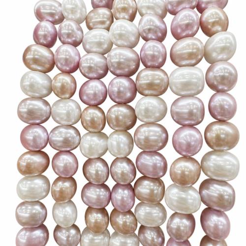 South Sea Shell Beads, Shell Pearl, polished, DIY Approx 