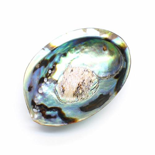 Shell Decoration, Abalone Shell, polished, DIY shell size 12-13.5*9-10 cm 