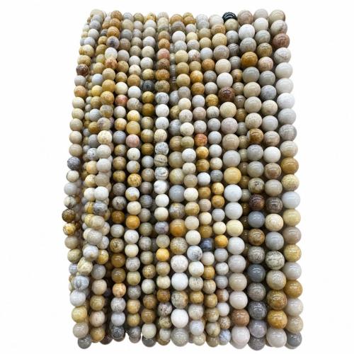 Chrysanthemum Stone Beads, Round, DIY Approx 38 cm 